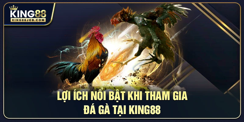 Lợi ích nổi bật khi tham gia đá gà tại King88