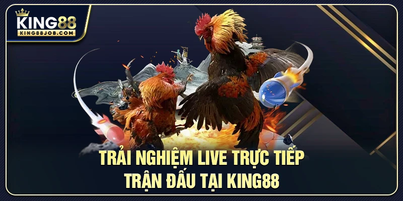 Trải nghiệm Live Trực Tiếp Trận Đấu tại King88